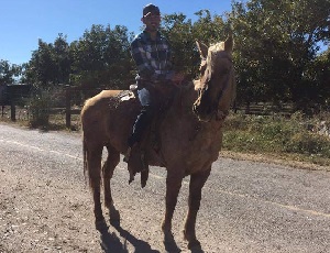 Kevin-on-horse-300x230 Kevin-on-horse-300x230